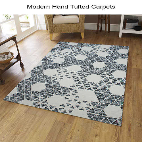 Modern Hand Tufted Carpets CPT 590491